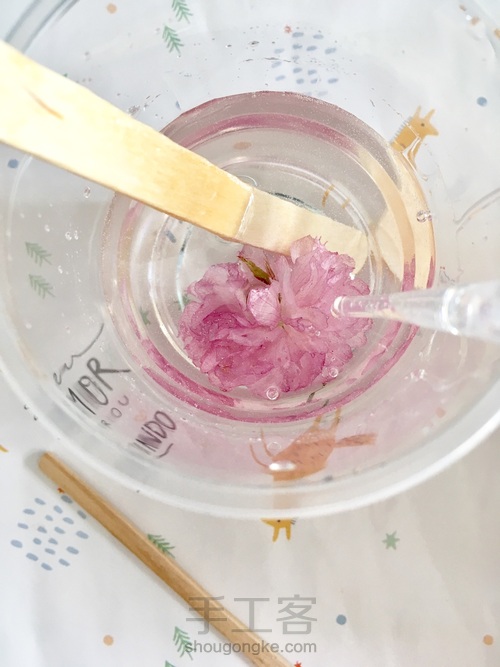 樱花标本 第31步