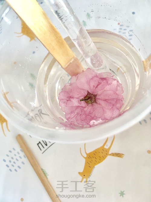 樱花标本 第32步