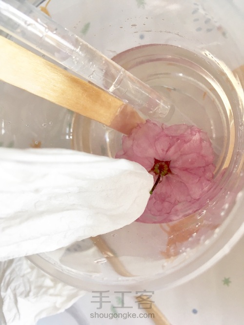 樱花标本 第33步