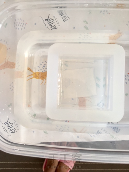 樱花标本 第34步