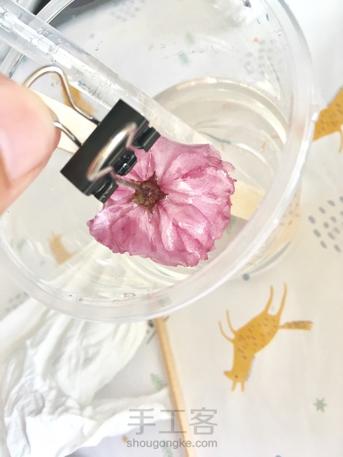 樱花标本 第35步