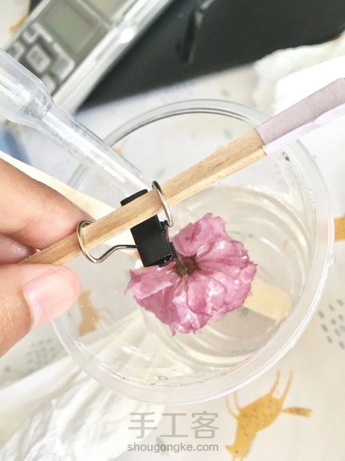 樱花标本 第36步