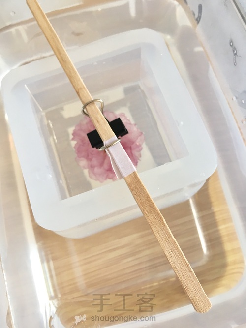 樱花标本 第40步