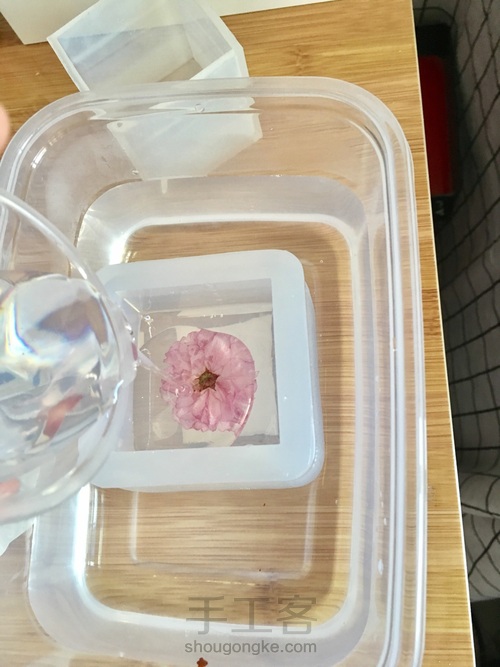 樱花标本 第41步