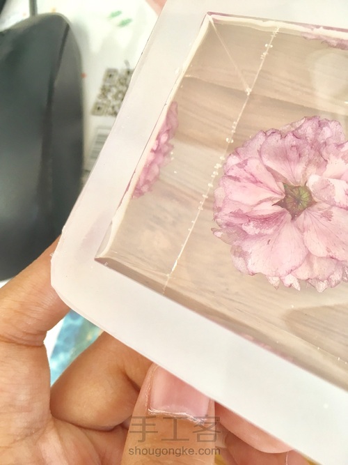 樱花标本 第44步