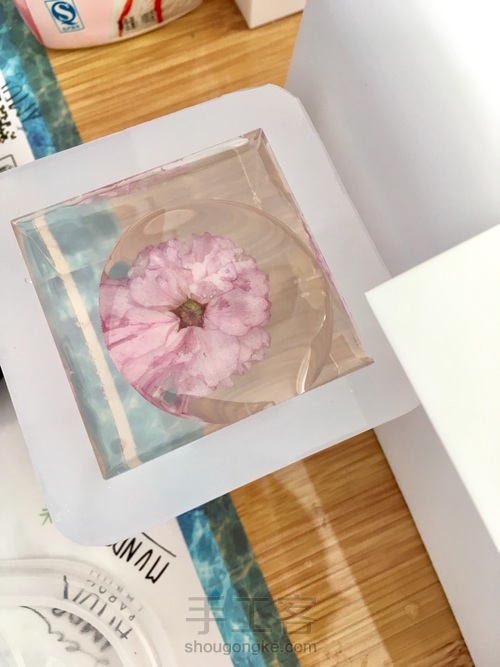 樱花标本 第45步