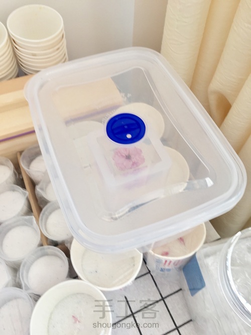 樱花标本 第46步