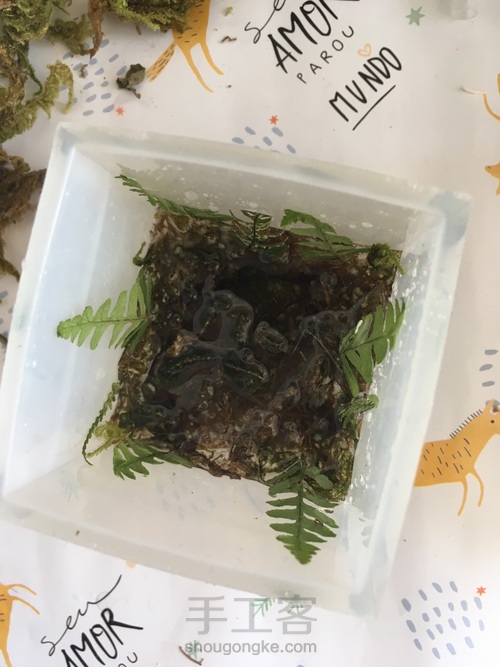 青苔蕨叶收纳盒 第20步