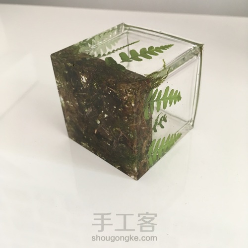 青苔蕨叶收纳盒 第37步