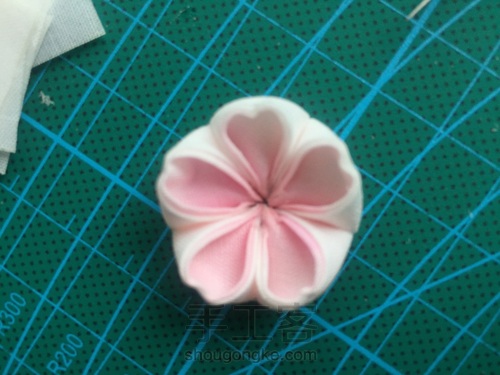 最是烂漫樱花开 第14步