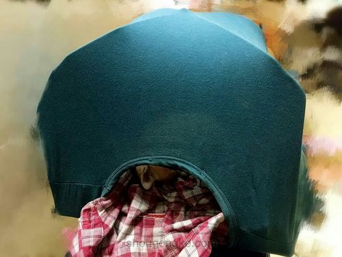 DIY猫帐篷 铲屎官必备! 第6步