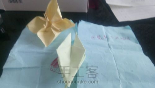 【折纸】又是一朵简单的折纸花 第11步