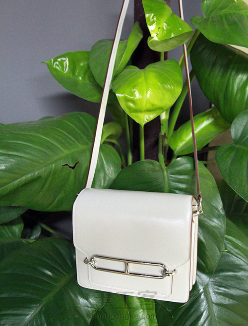 精致小巧的猪鼻子单肩包 第72步