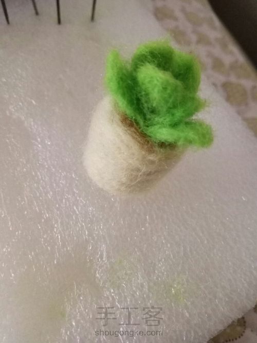 羊毛毡小多肉 第1步