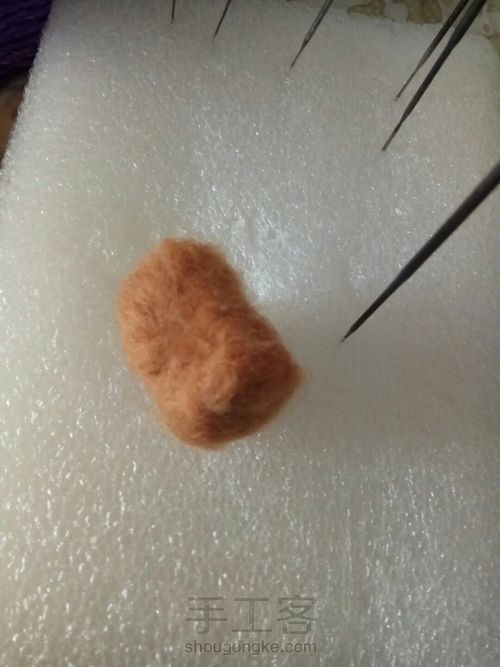 羊毛毡小多肉 第2步