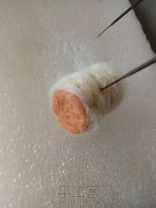 羊毛毡小多肉 第3步