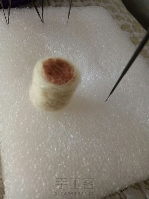 羊毛毡小多肉 第4步
