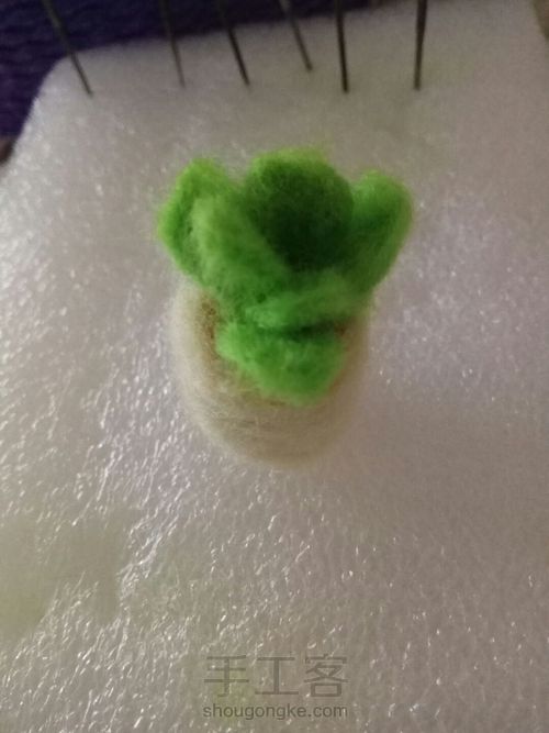 羊毛毡小多肉 第8步