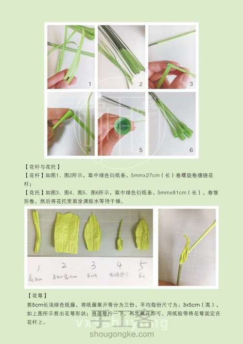 洋水仙纸艺花教程 第2步