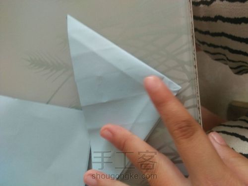 川崎玫瑰 第10步