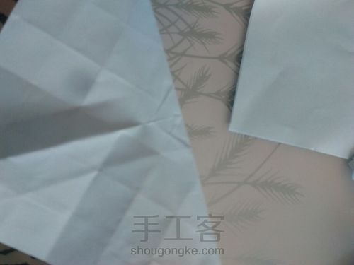 川崎玫瑰 第13步