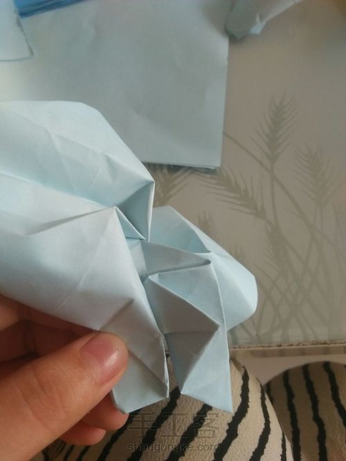 川崎玫瑰 第24步