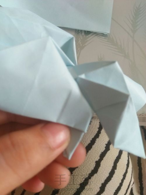 川崎玫瑰 第25步