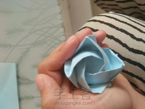 川崎玫瑰 第28步