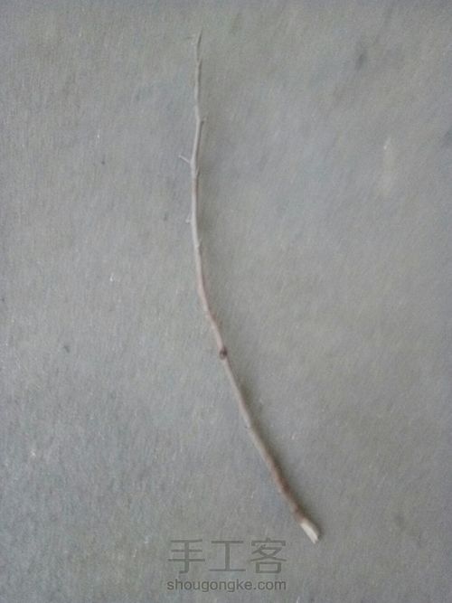 如我一般机智的树枝梅花♧ 第2步