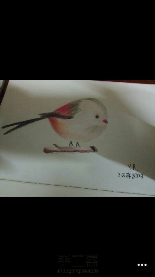 【星辰.彩铅手绘】仙气粉红小小鸟 第11步