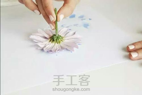 用食物画画(转) 第8步