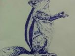 (教程)临摹一只可爱的松鼠