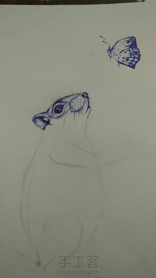 (教程)临摹一只可爱的松鼠 第2步