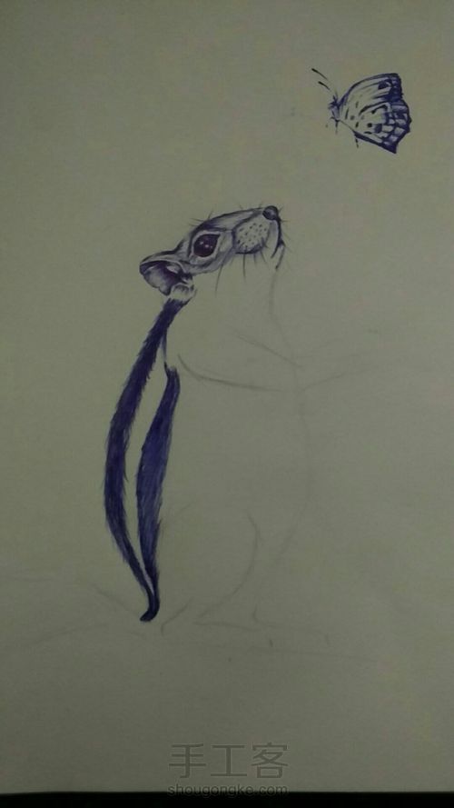 (教程)临摹一只可爱的松鼠 第3步