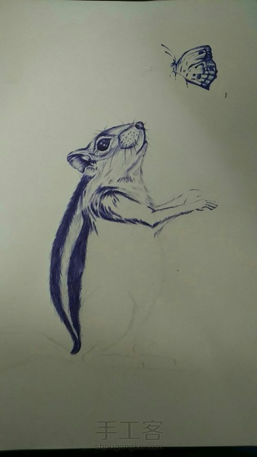 (教程)临摹一只可爱的松鼠 第4步