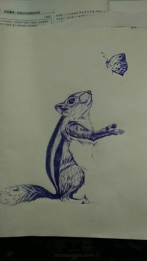 (教程)临摹一只可爱的松鼠 第5步