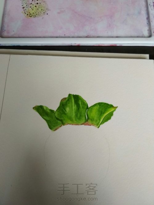 青柿子 第4步