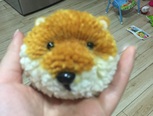 不知名狗🐶