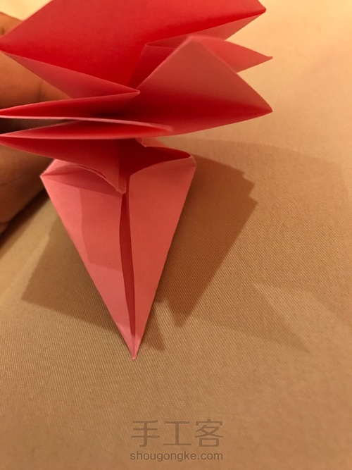 可爱的百合花 第5步