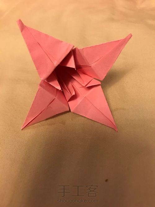 可爱的百合花 第9步