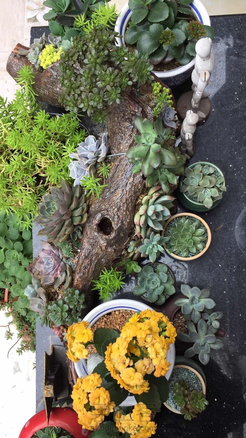 原木盆才是肉肉最爱！ 第14步