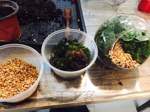 姑娘：一花一世界，一草一天堂 第2步