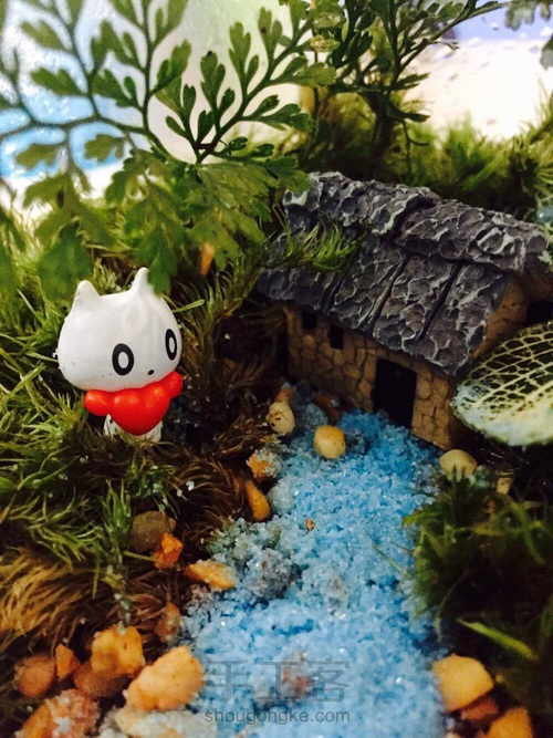 姑娘：一花一世界，一草一天堂 第4步