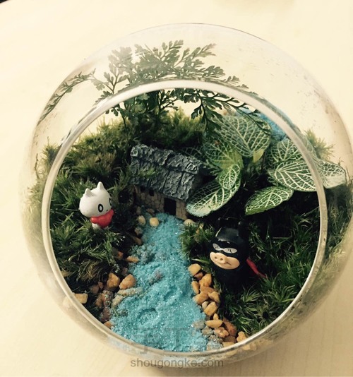 姑娘:一花一世界,一草一天堂 第6步