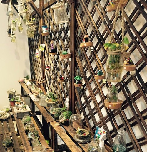 姑娘:一花一世界,一草一天堂 第7步