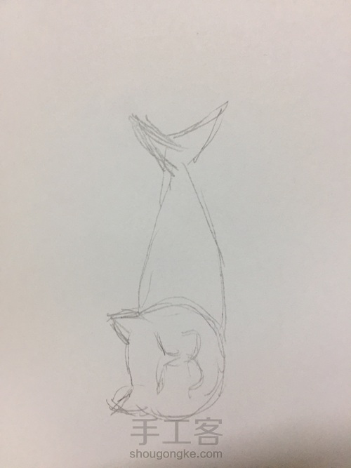 假装是一条鱼的猫 第1步