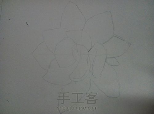 彩铅多肉 第1步