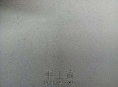 彩铅多肉 第2步