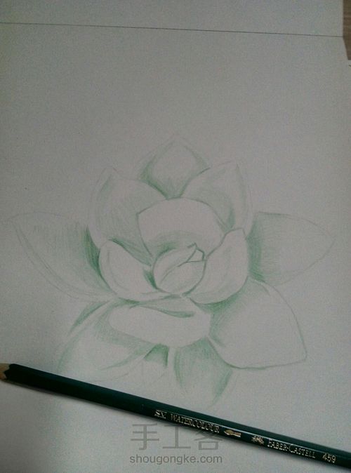 彩铅多肉 第3步