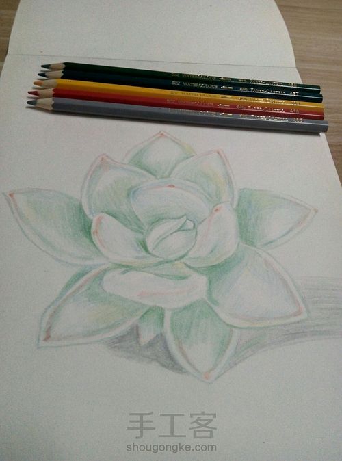 彩铅多肉 第4步